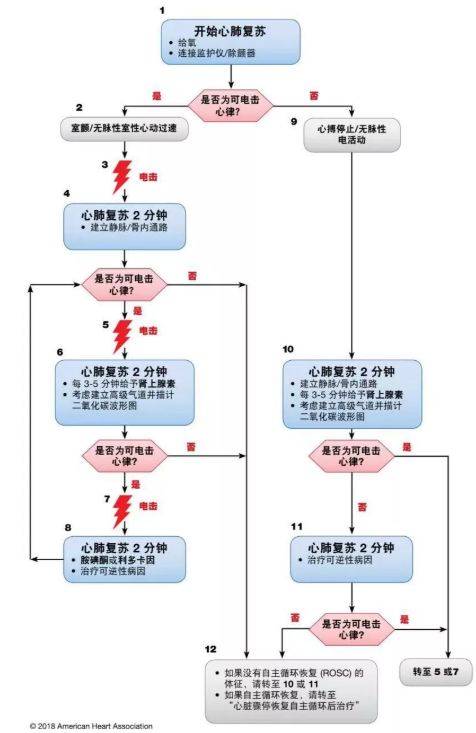 2025年1月12日 第4页