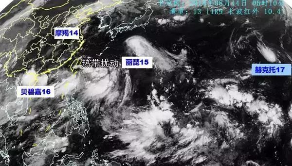 盛夏风暴舞动，8号台风轨迹新篇绽放