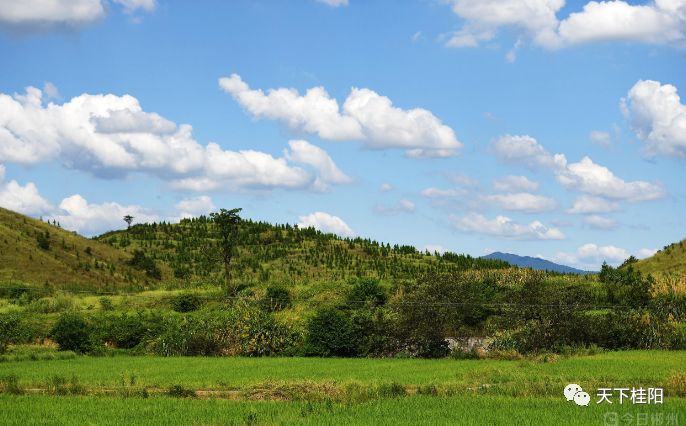 桂阳流峰镇焕新篇章，蓬勃发展新景象