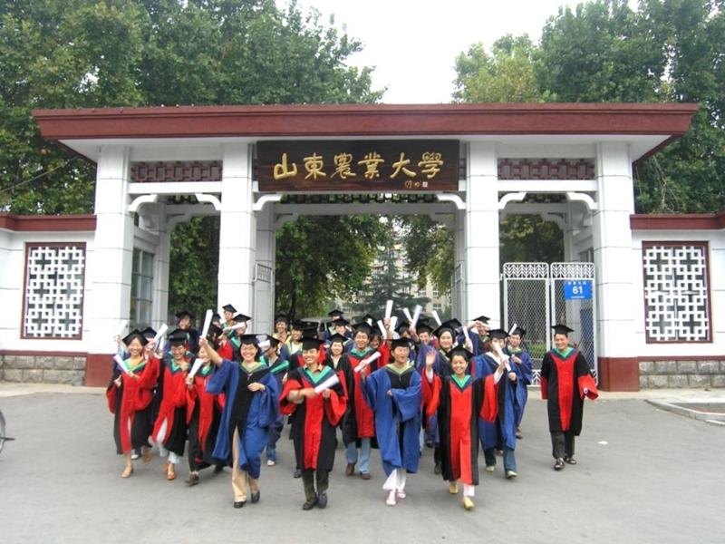 最新中国大学排名揭晓