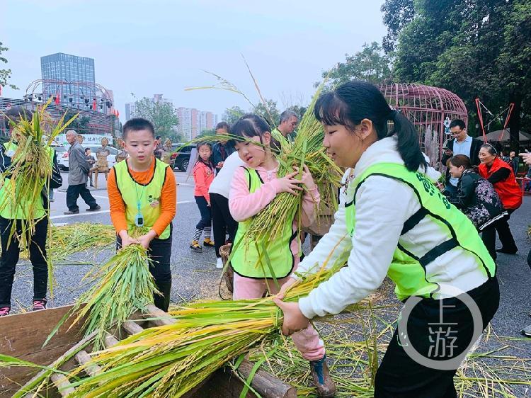 全新一代谷子脱粒设备