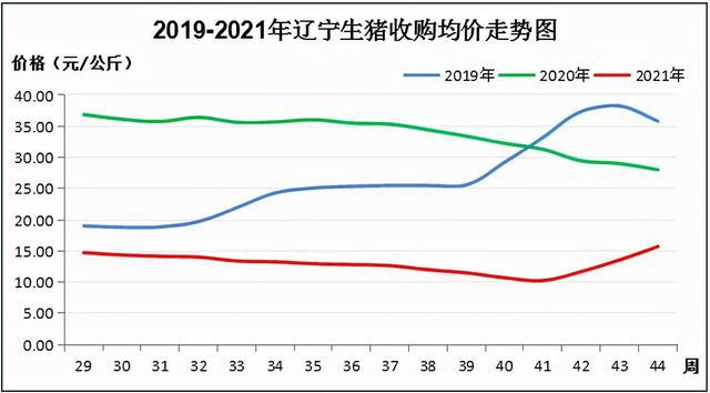 最新预测：生猪市场走势分析