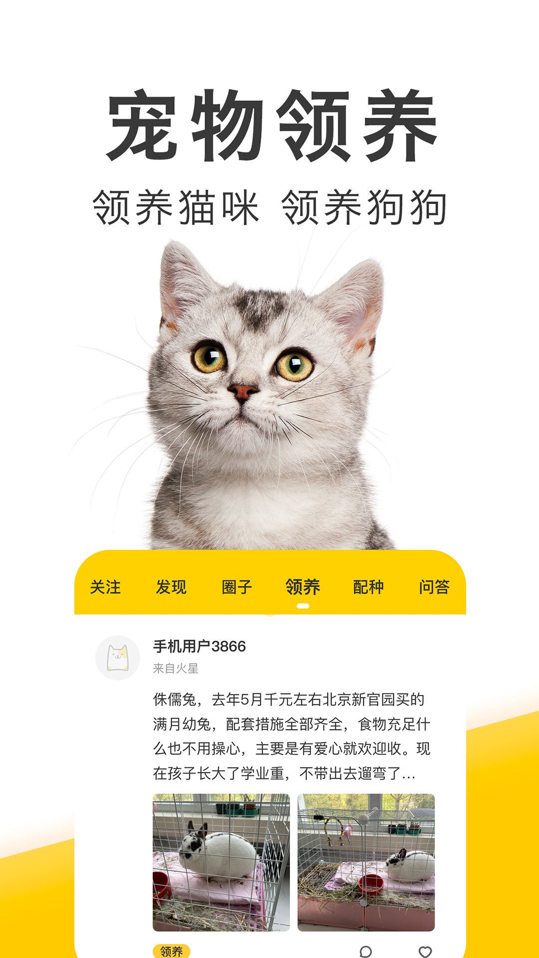 猫咪软件最新版下载中