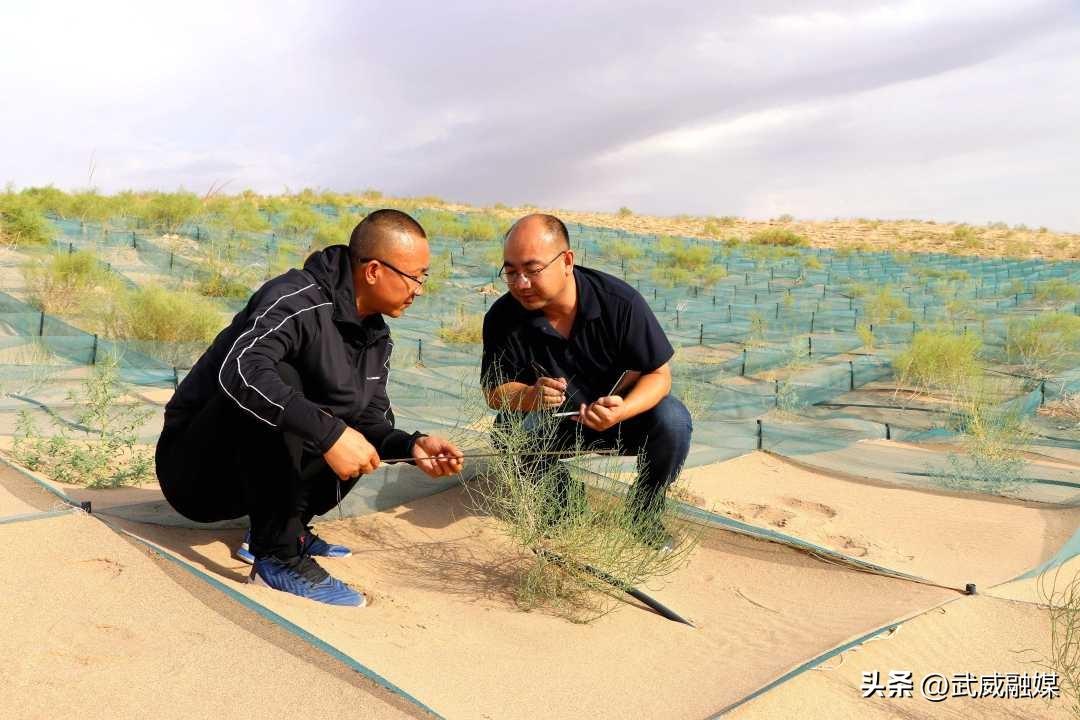 甘肃地区持续旱情动态报道