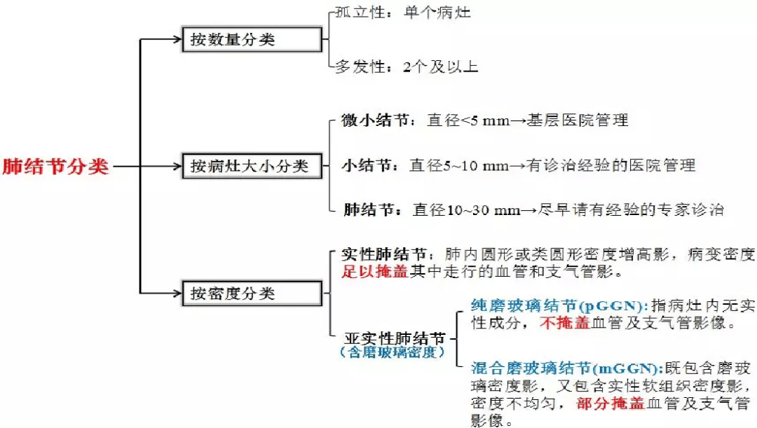 几内亚近期动态观察