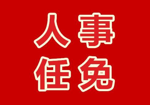 山东省最新一批干部任命及公示信息揭晓