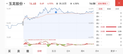 玉龙股份股价动态速递：最新市场资讯一览