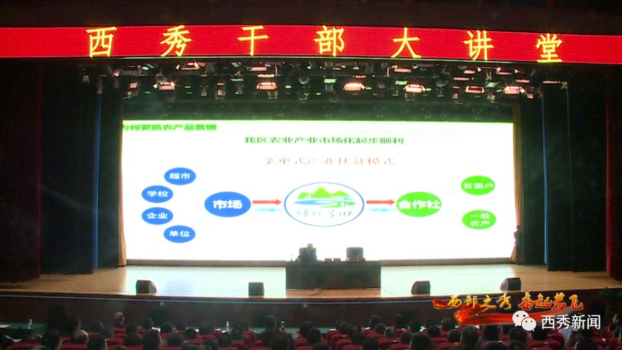 西秀区最新人事调整揭晓：干部任免动态全解读