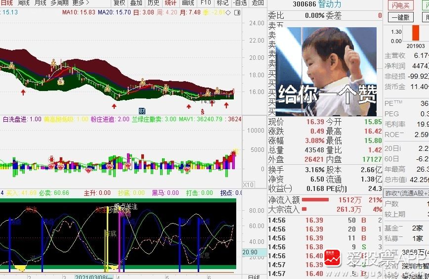 003044股票实时动态解析：最新走势深度解读