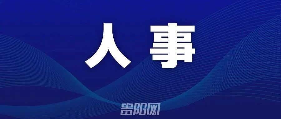 云岩区最新人事调整：干部任免信息一览