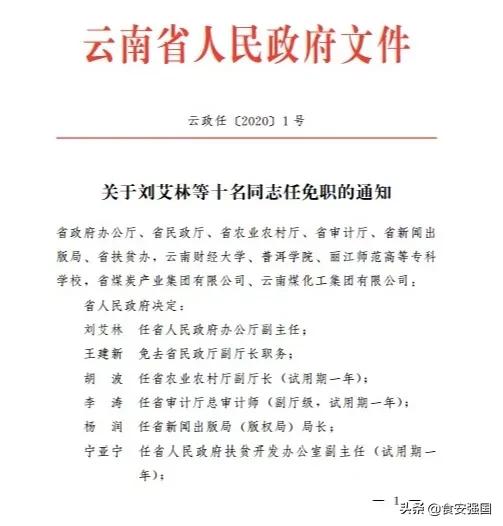 云南省官方发布：最新一轮干部人事调整全解析